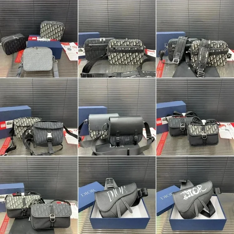 Dior camera bag 7454563450